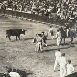 Old photography stereo, stereograph, luxury albumine 1903 bullfight, Seville, Spain