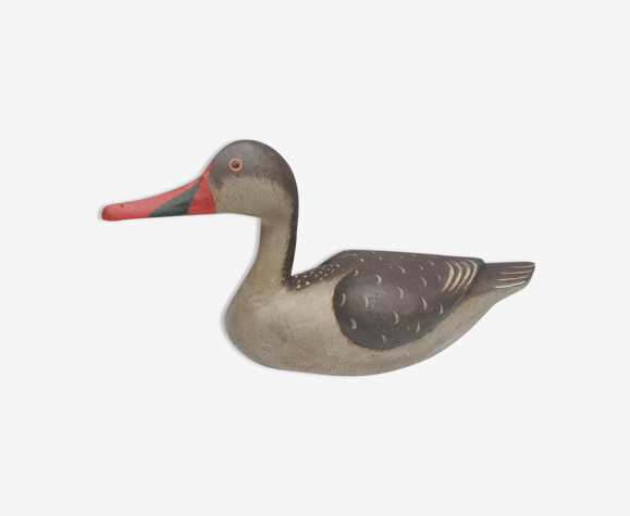 Painted wood-billed red-billed duck