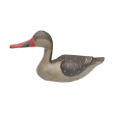 Painted wood-billed red-billed duck