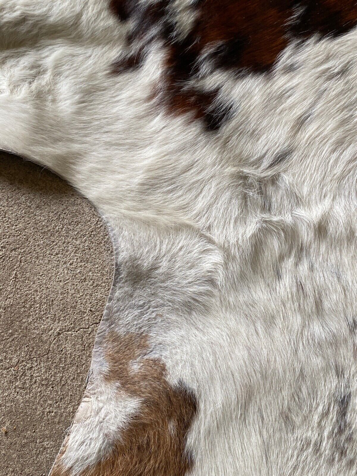 Cowhide carpet white and brown 1970 230 x 219