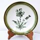 8 vintage hollow plates earthenware Gien model Herbiers table arts France