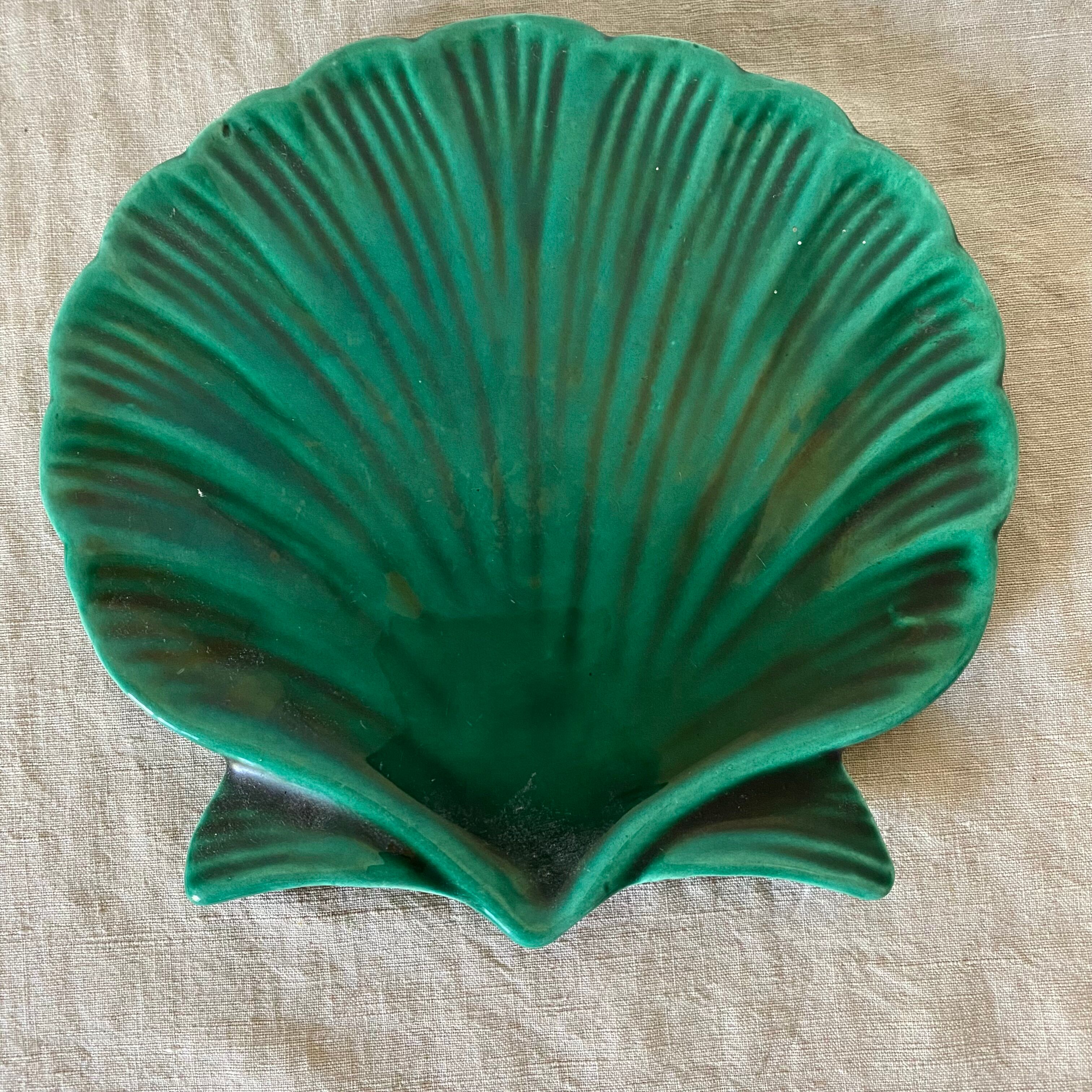 Empty ceramic pocket scallop shell