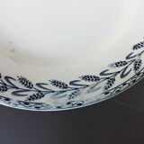 Dish on saline iron earth pedestal