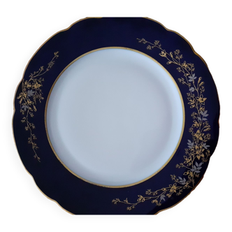 Plates bernardaud limoge