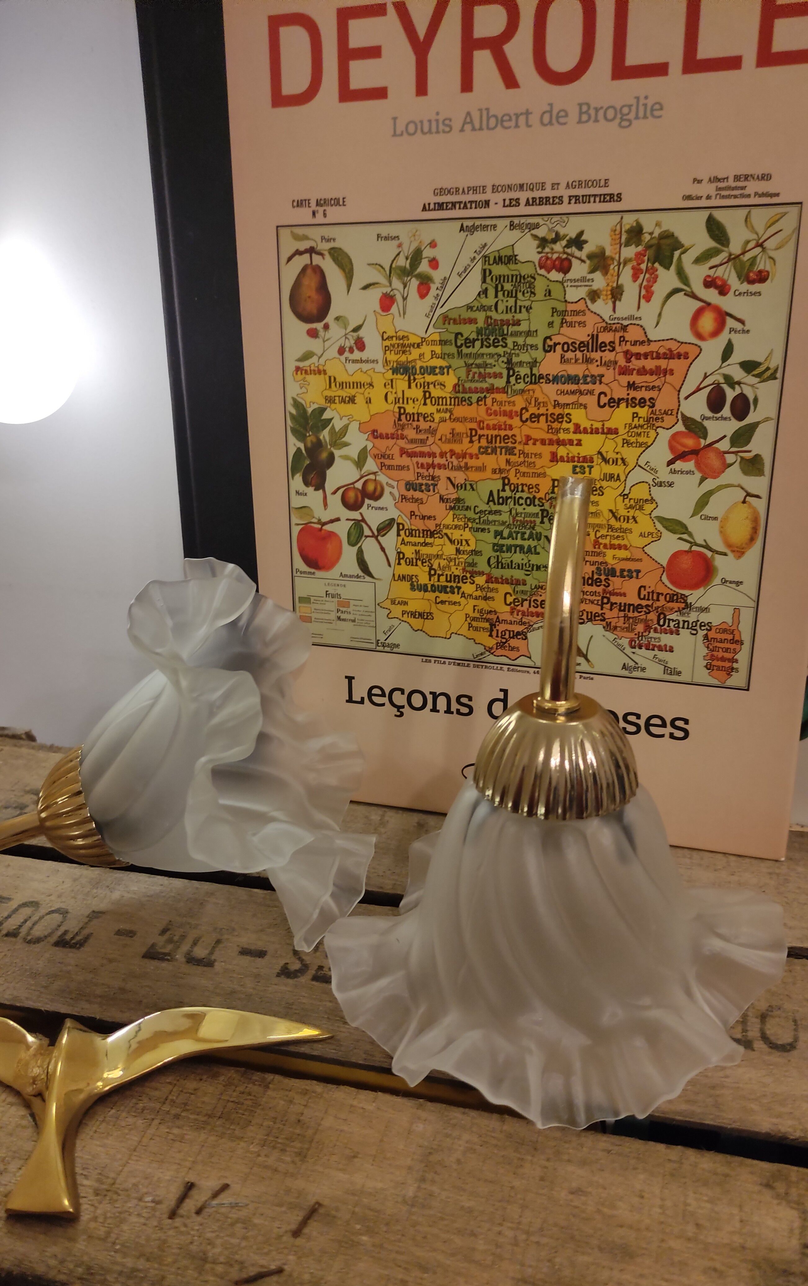 Duo of lampshade, art deco tulip globe