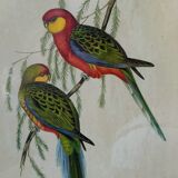 Ancient painting with exotic birds
