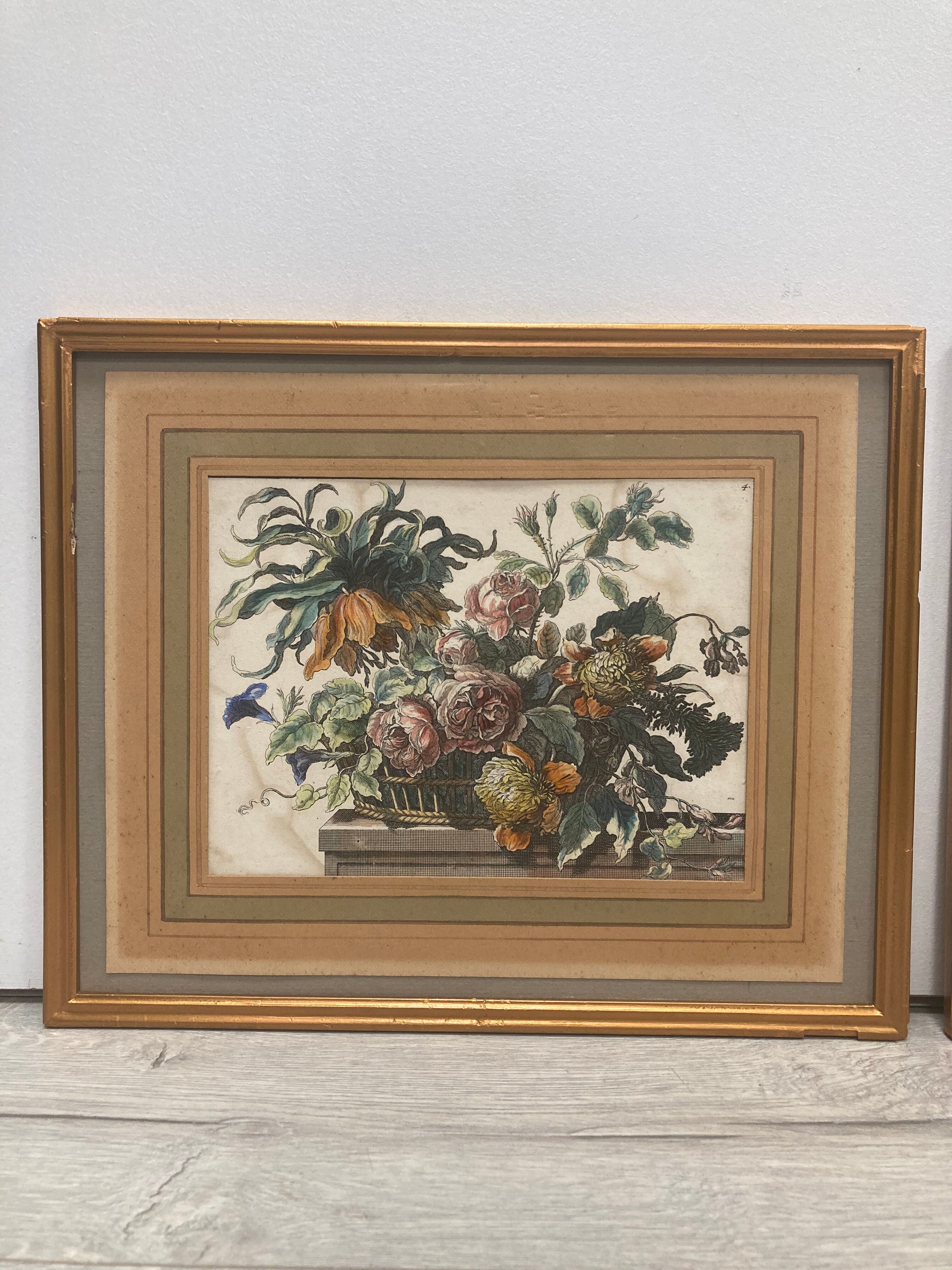 Pair of framed botanical boards