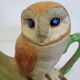 Owl teapot