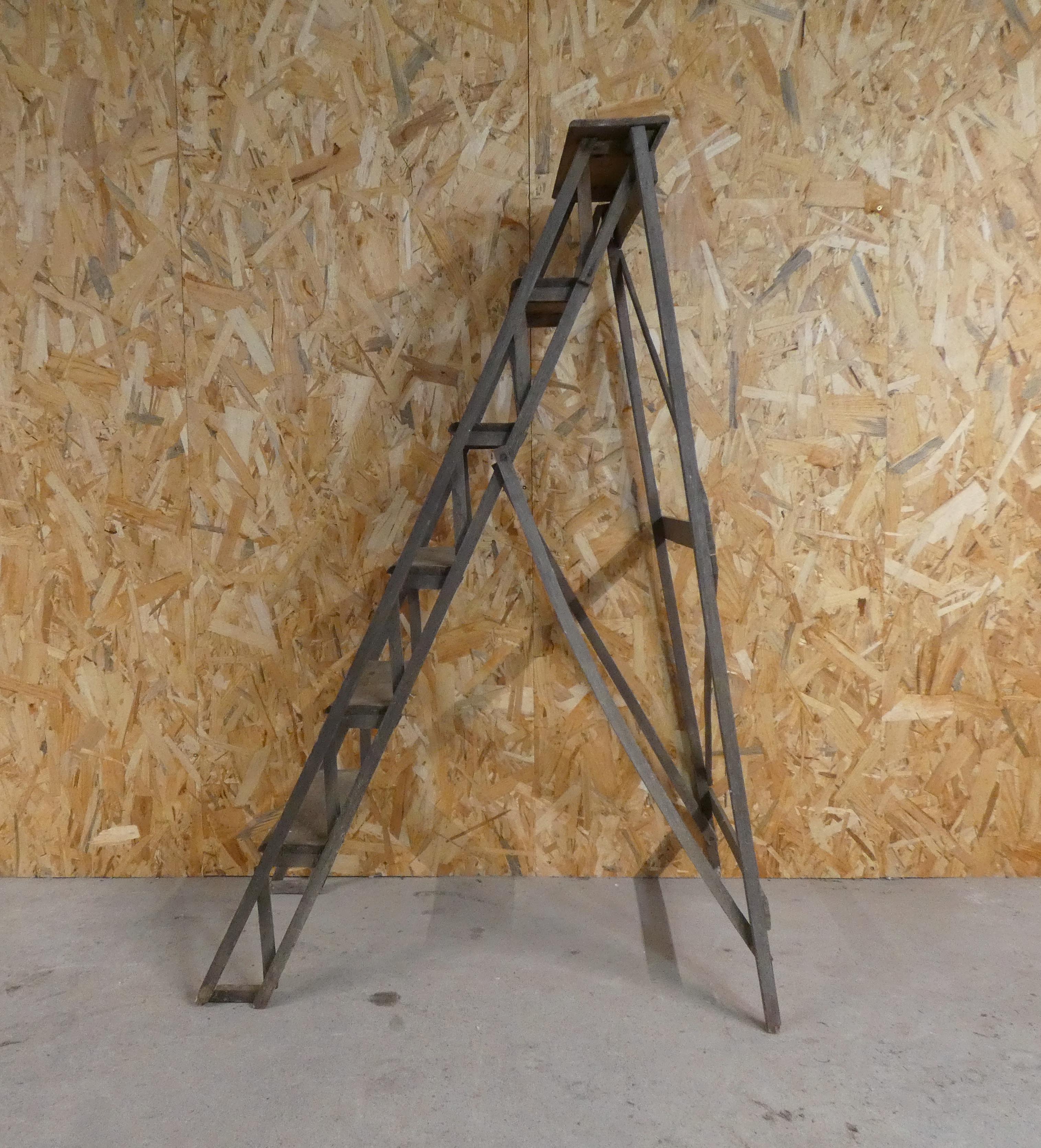 Former workshop stepladder