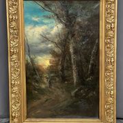 Ancient forest landscape in a beautiful setting.