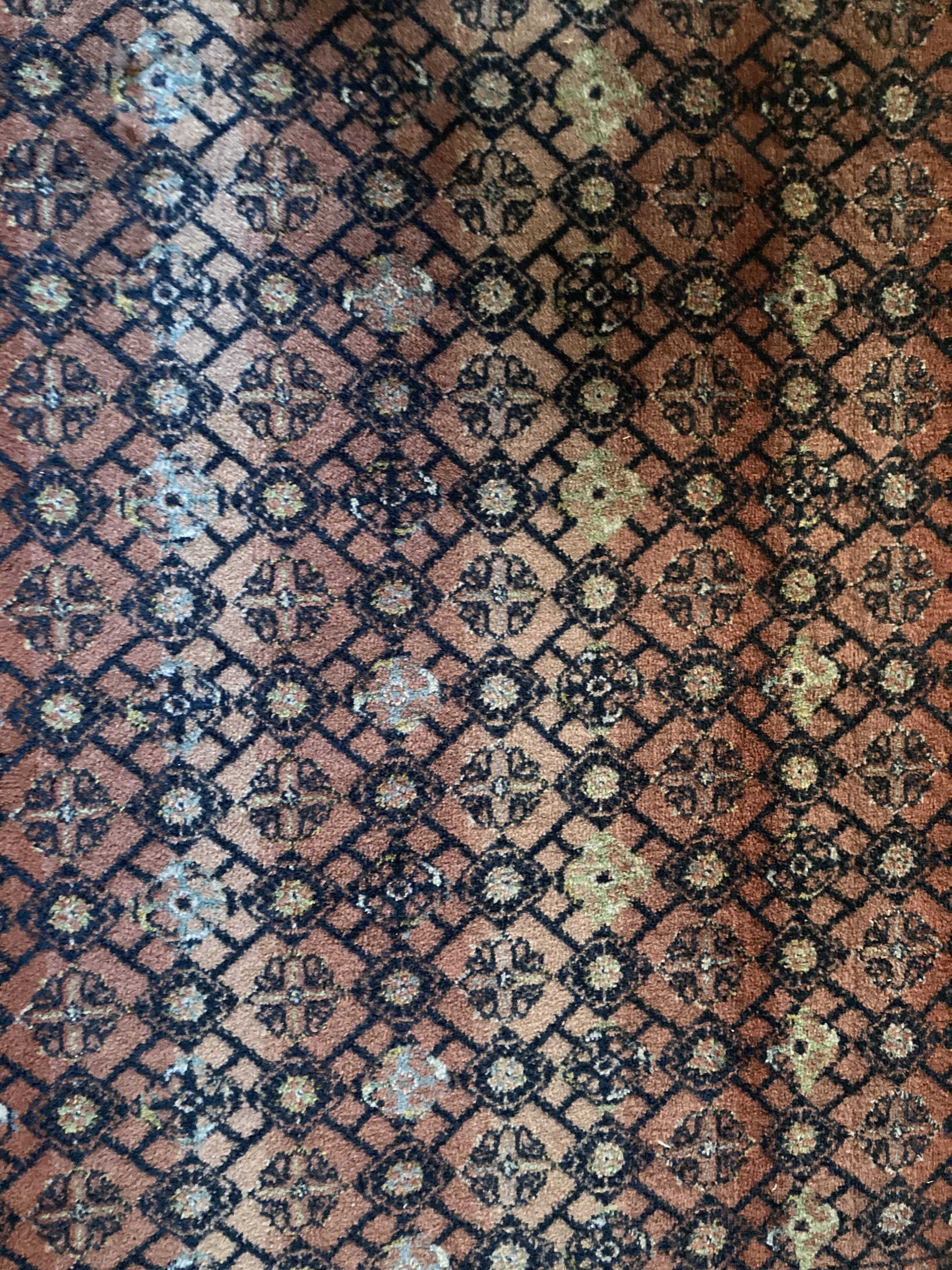 Silk wool rug 260x185cm