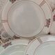 14 Terre de fer SALINS "Water Lily" plates