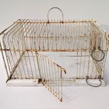 Old bird cage