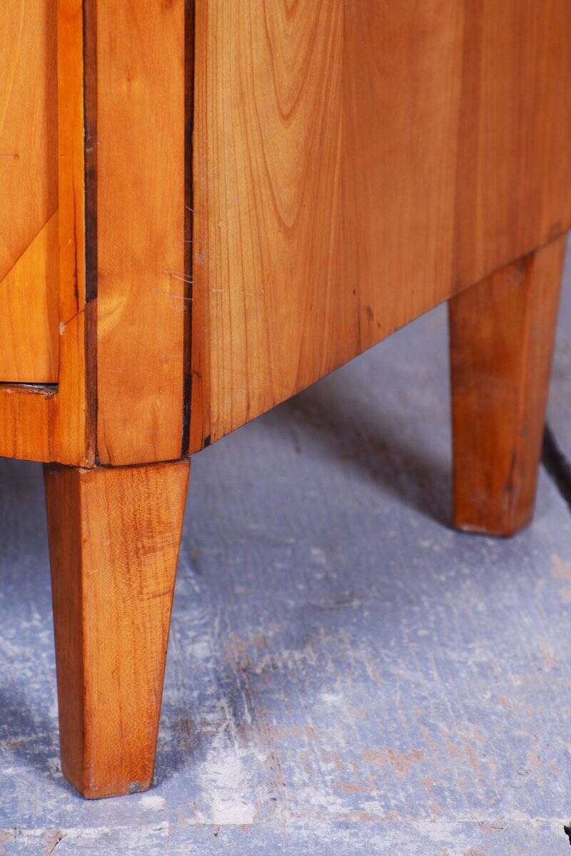 Biedermeier Cabinet in Cherry, Spruce & Ebony, Czech, 1820s