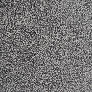 jean dubuffet : prairie de barbe - lithographie originale