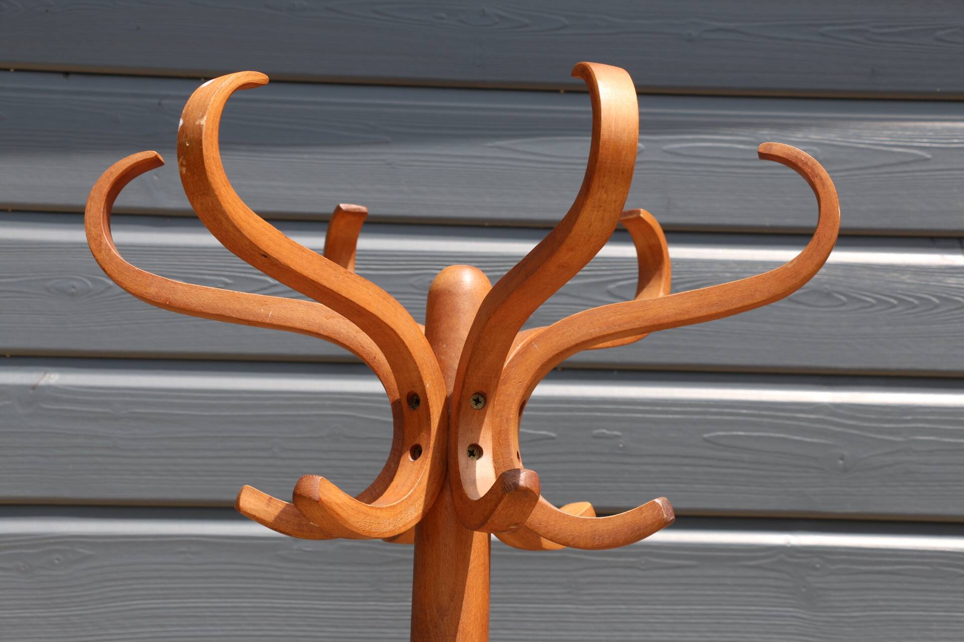 Baumann parrot coat rack simple medium beech