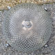 Pair of chrome metal and diamond-tipped glass ceiling lights, 1940s