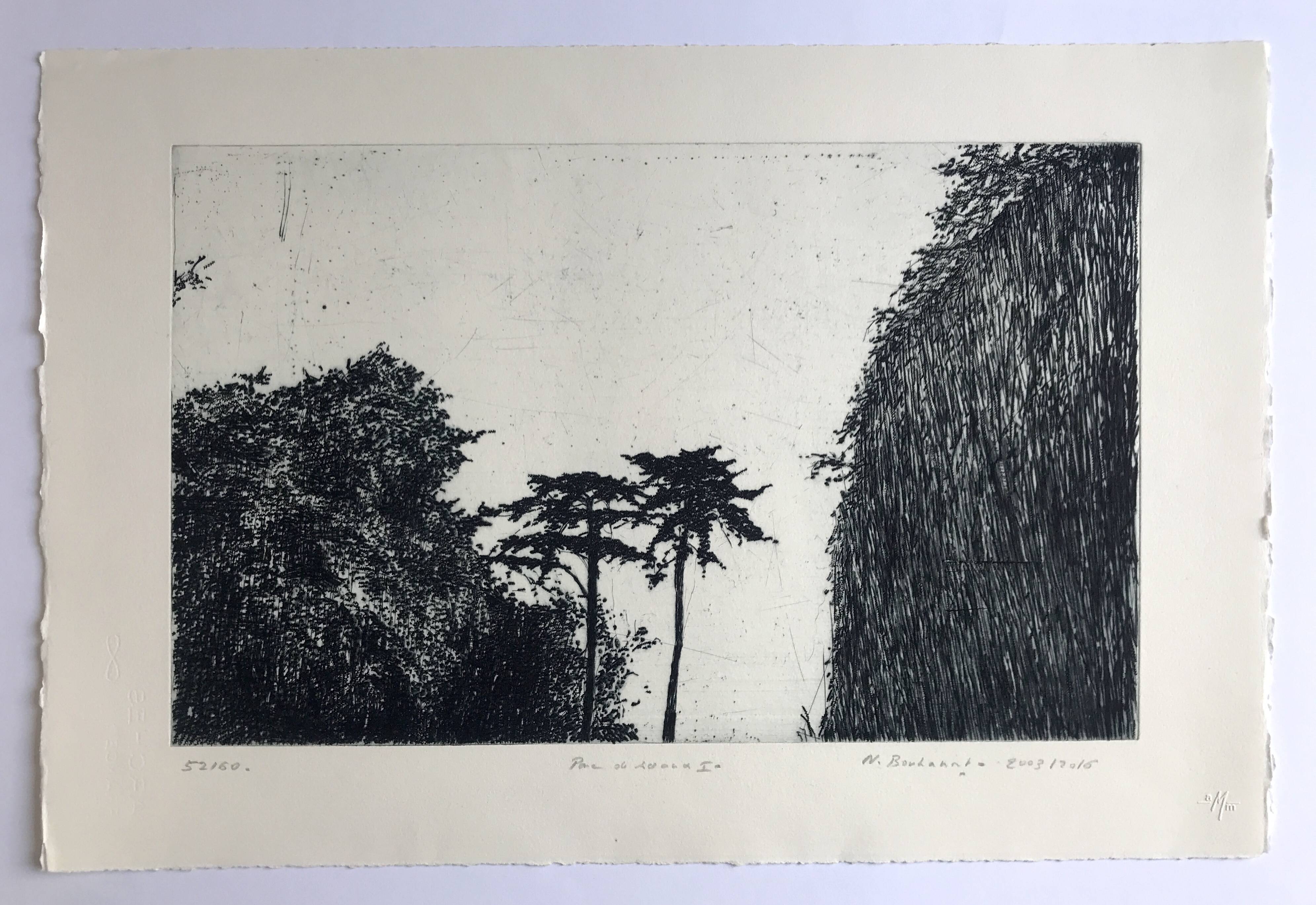 Nicole BOUHARMONT, Parc de Sceaux I, 2003-16. Drypoint signed in pencil