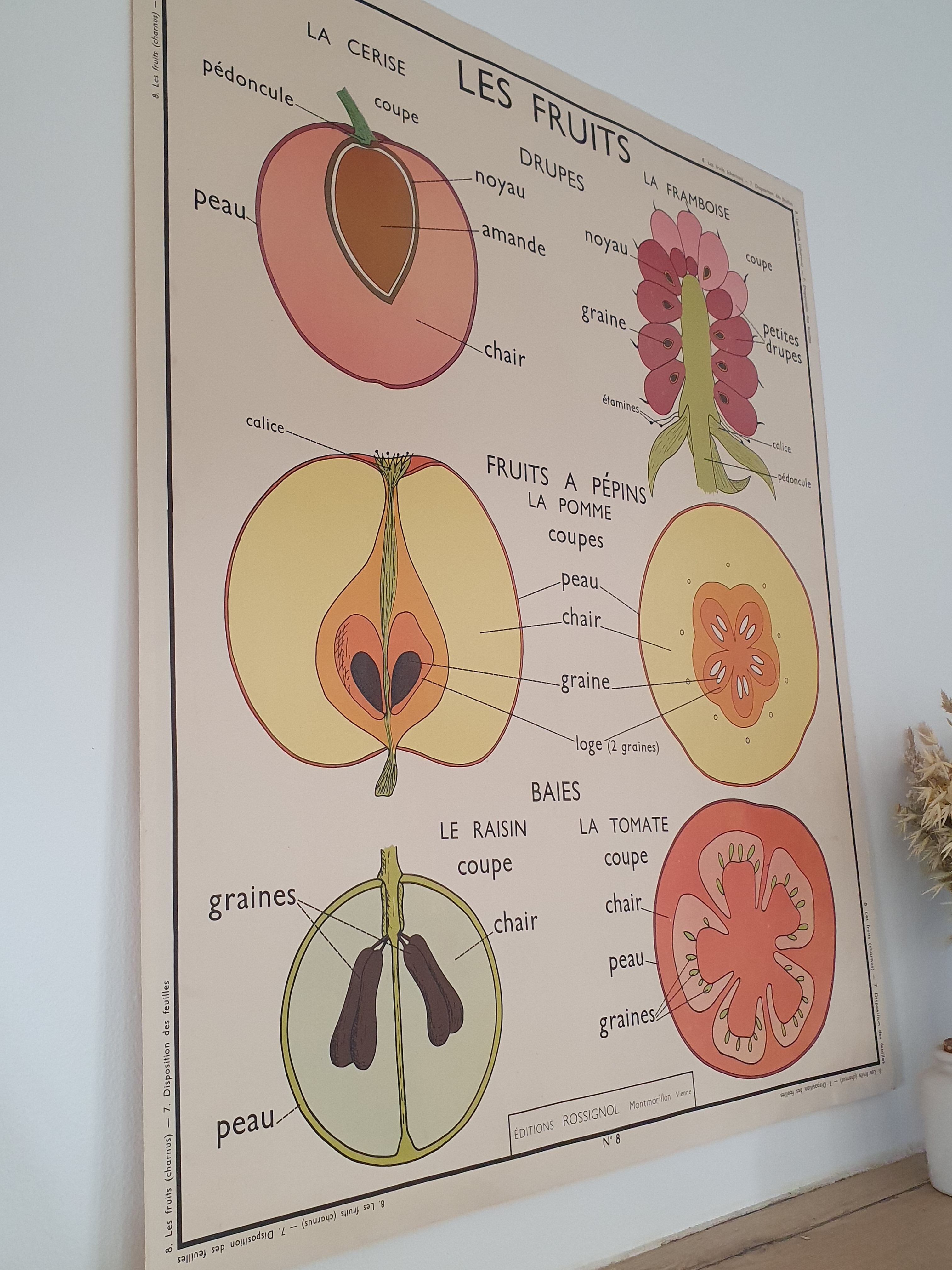 Rossignol school poster