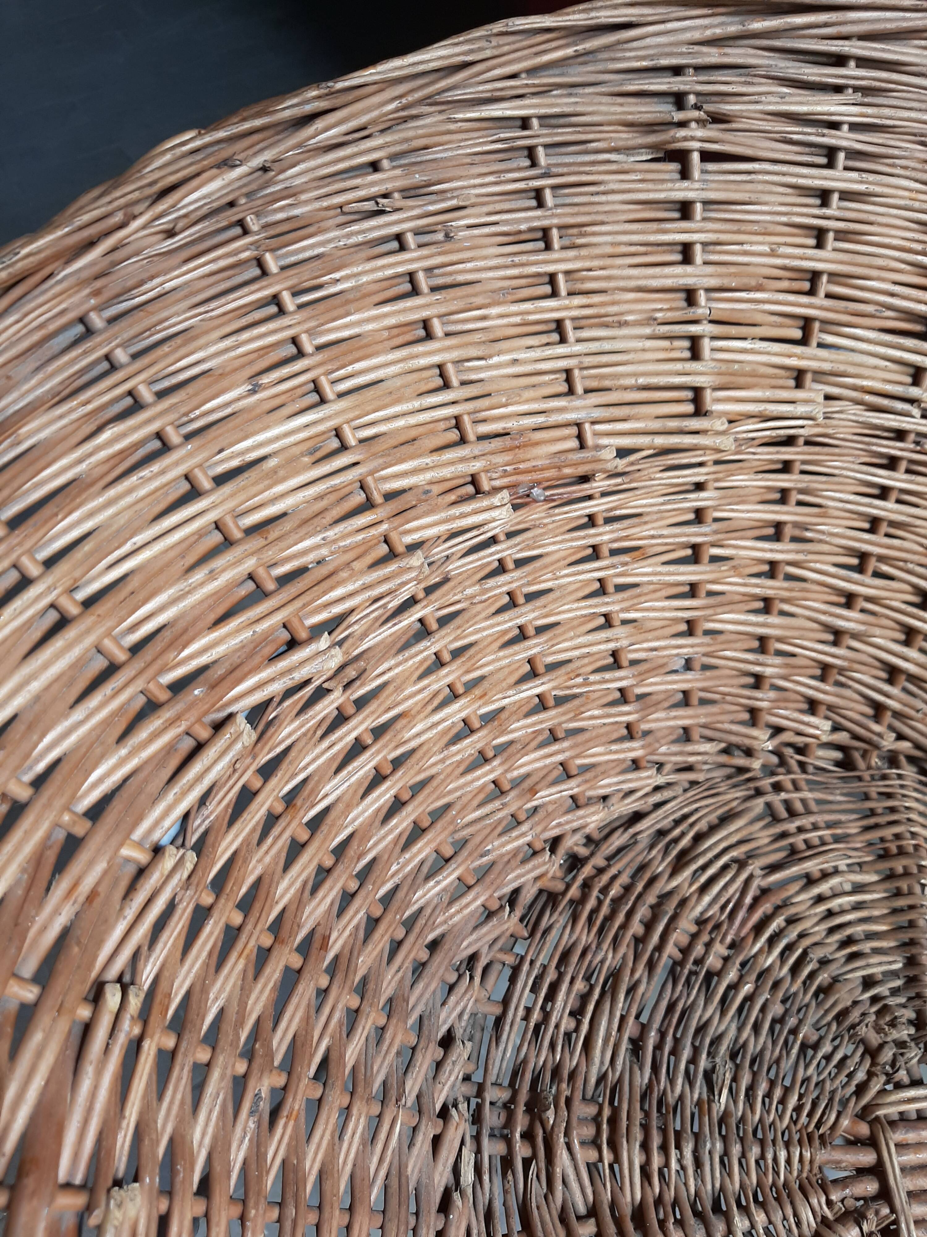 Rotin basket year 50