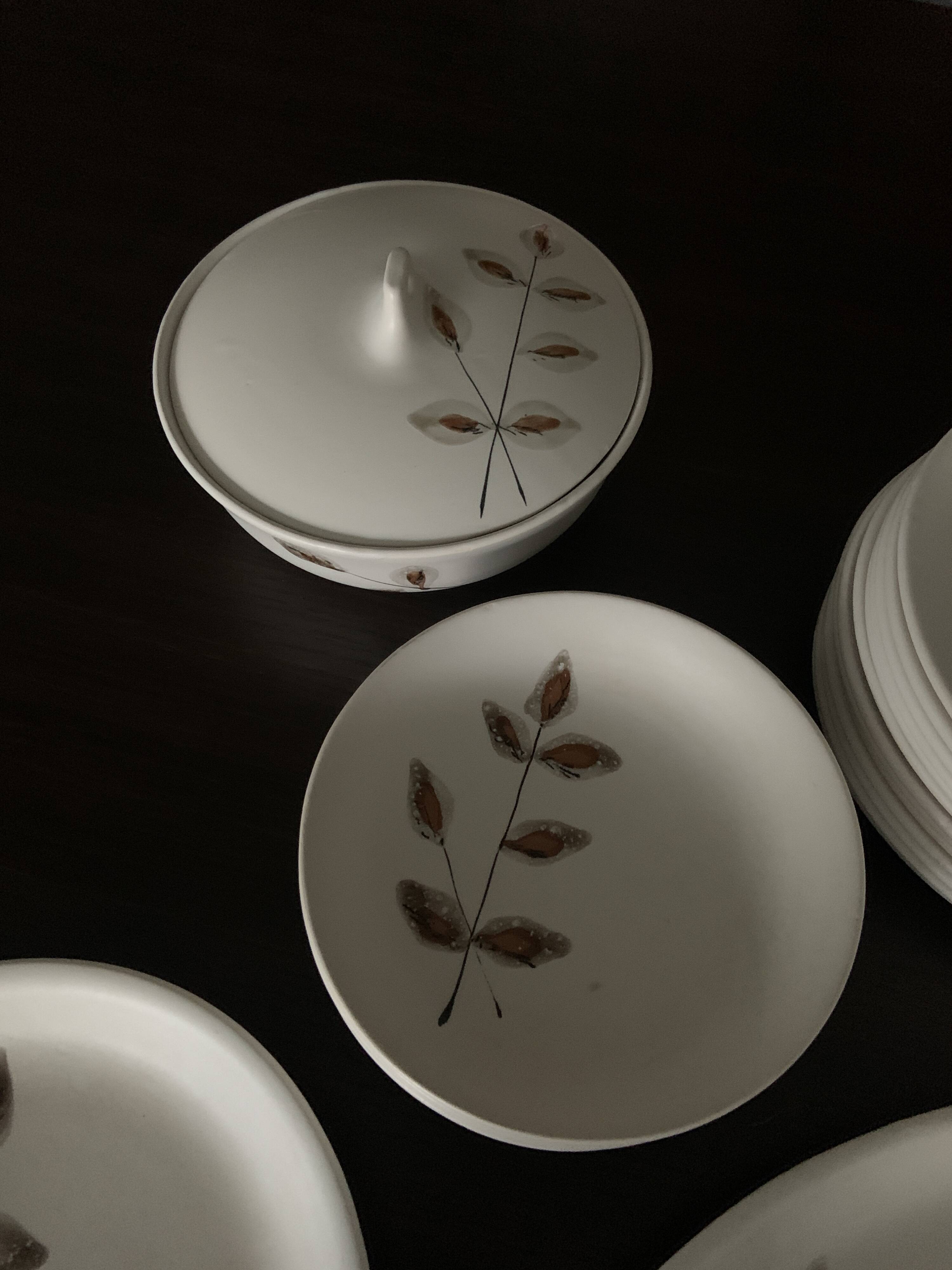 Niderviller plate set dinner service