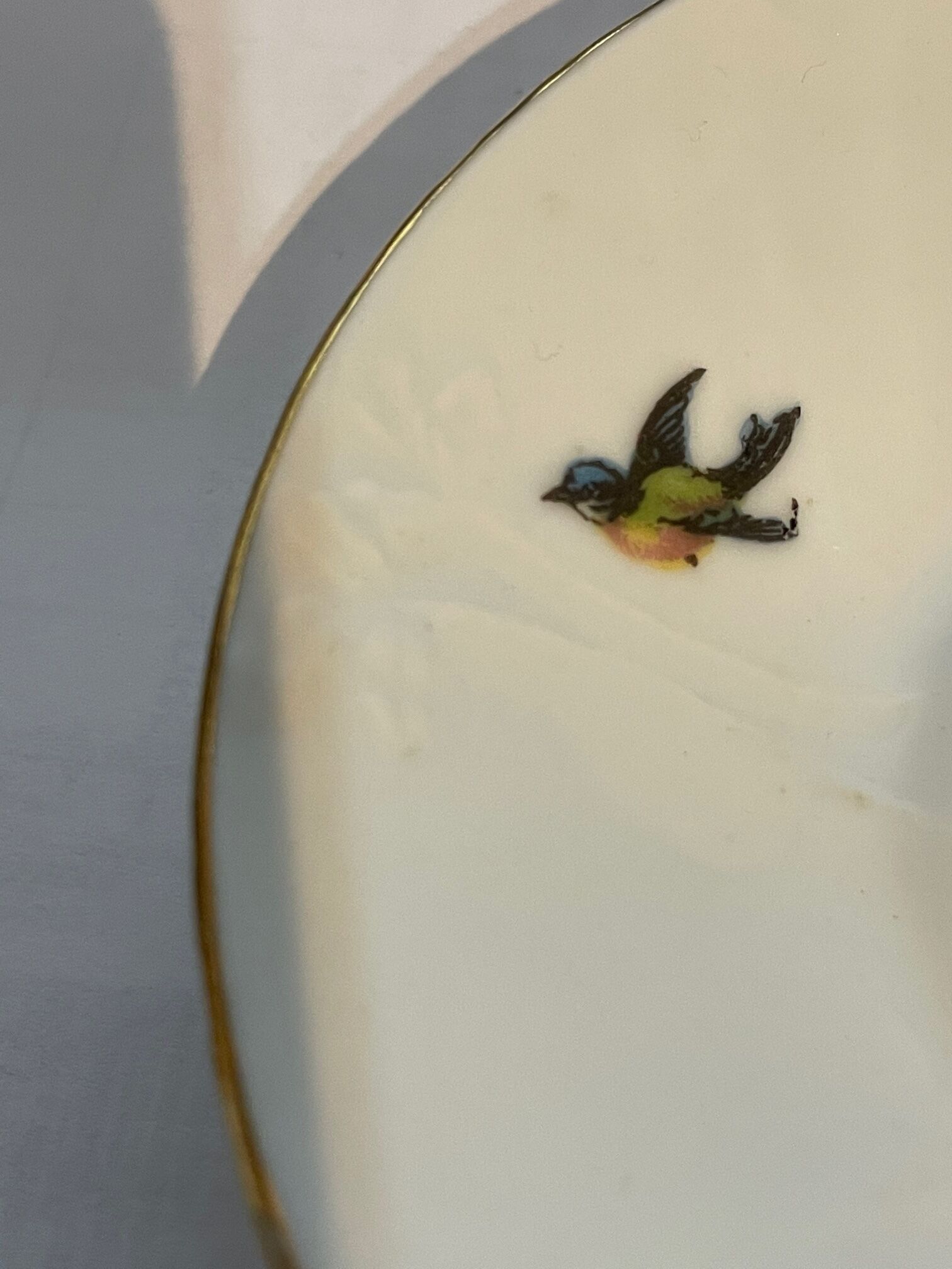 Tasse et sous tasse à décor floral et oiseau