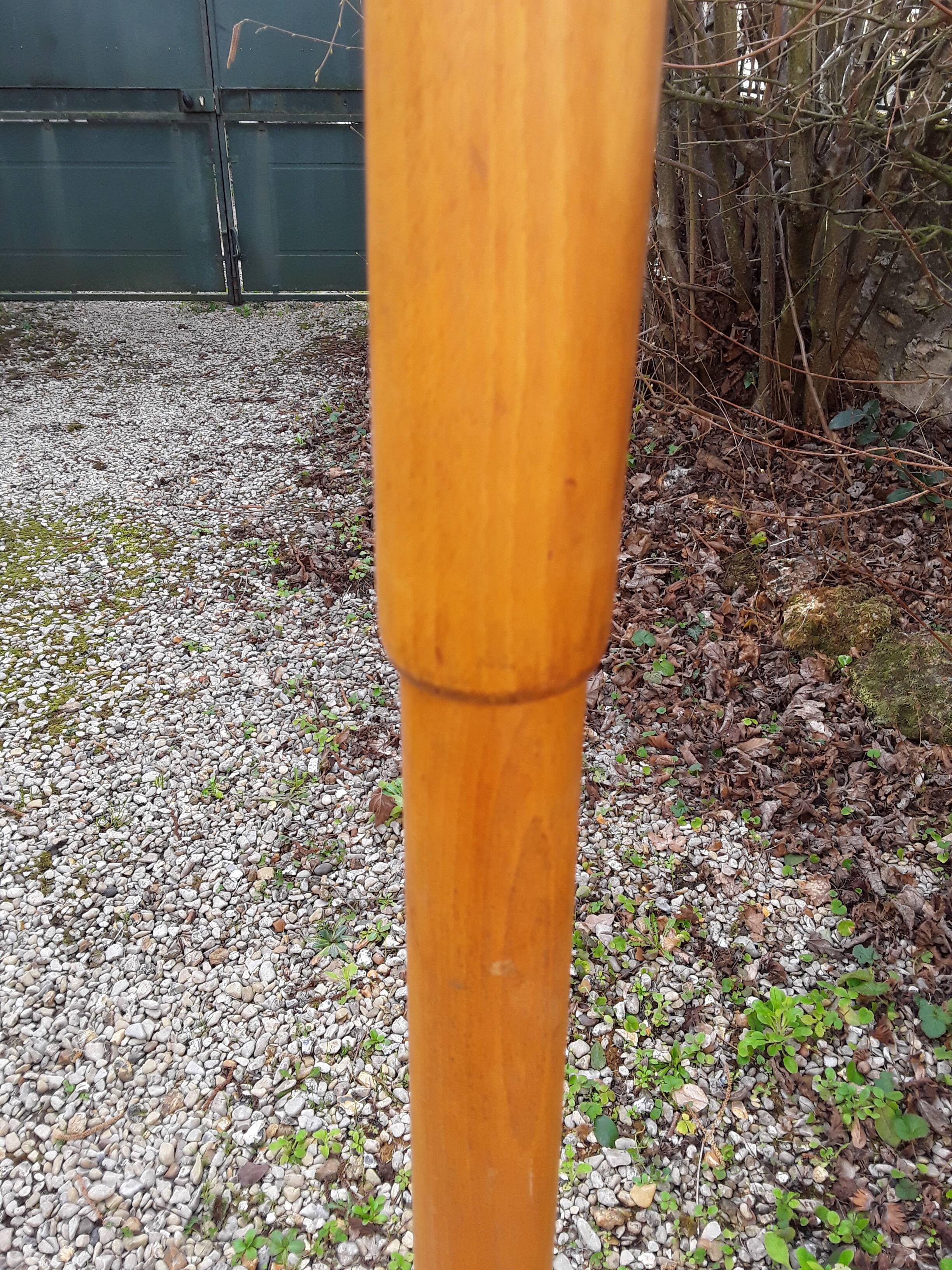 Baumann parrot coat holder