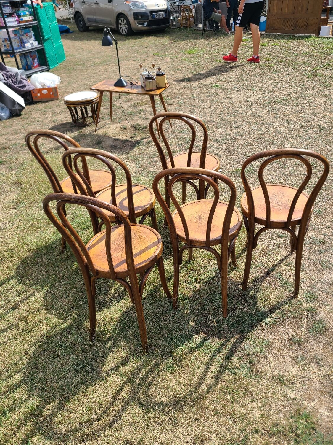 6 bentwood chairs early 20th