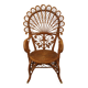 Emmanuelle peacock rattan armchair