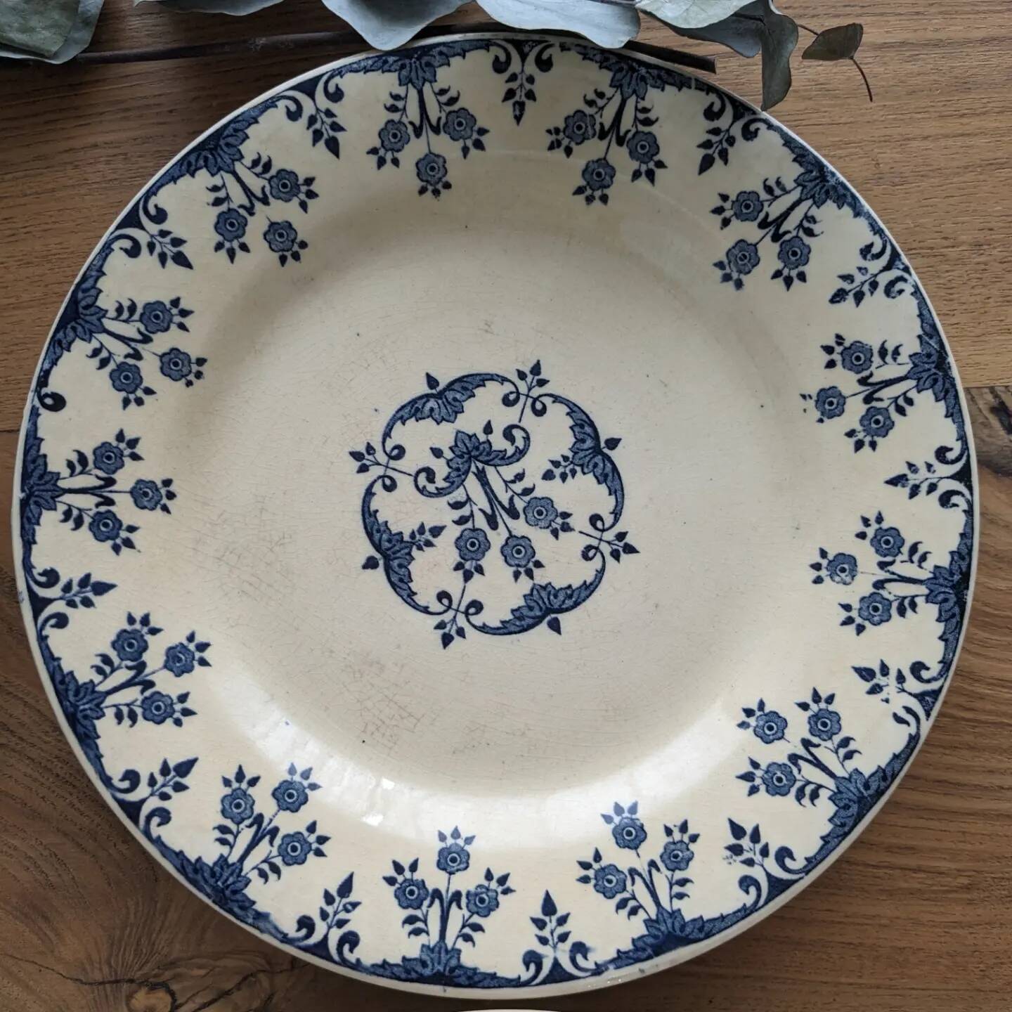 Set of 6 plates of Gien iron earth