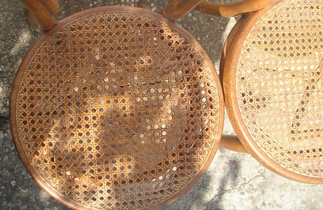 Trio of Thonet chairs late 19th model 14