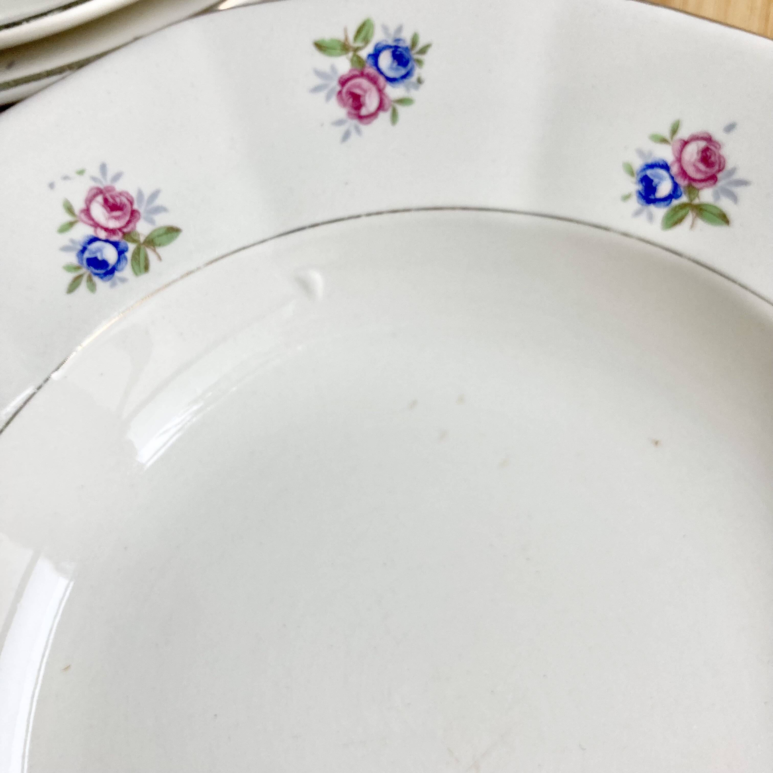6 Digoin soup plates