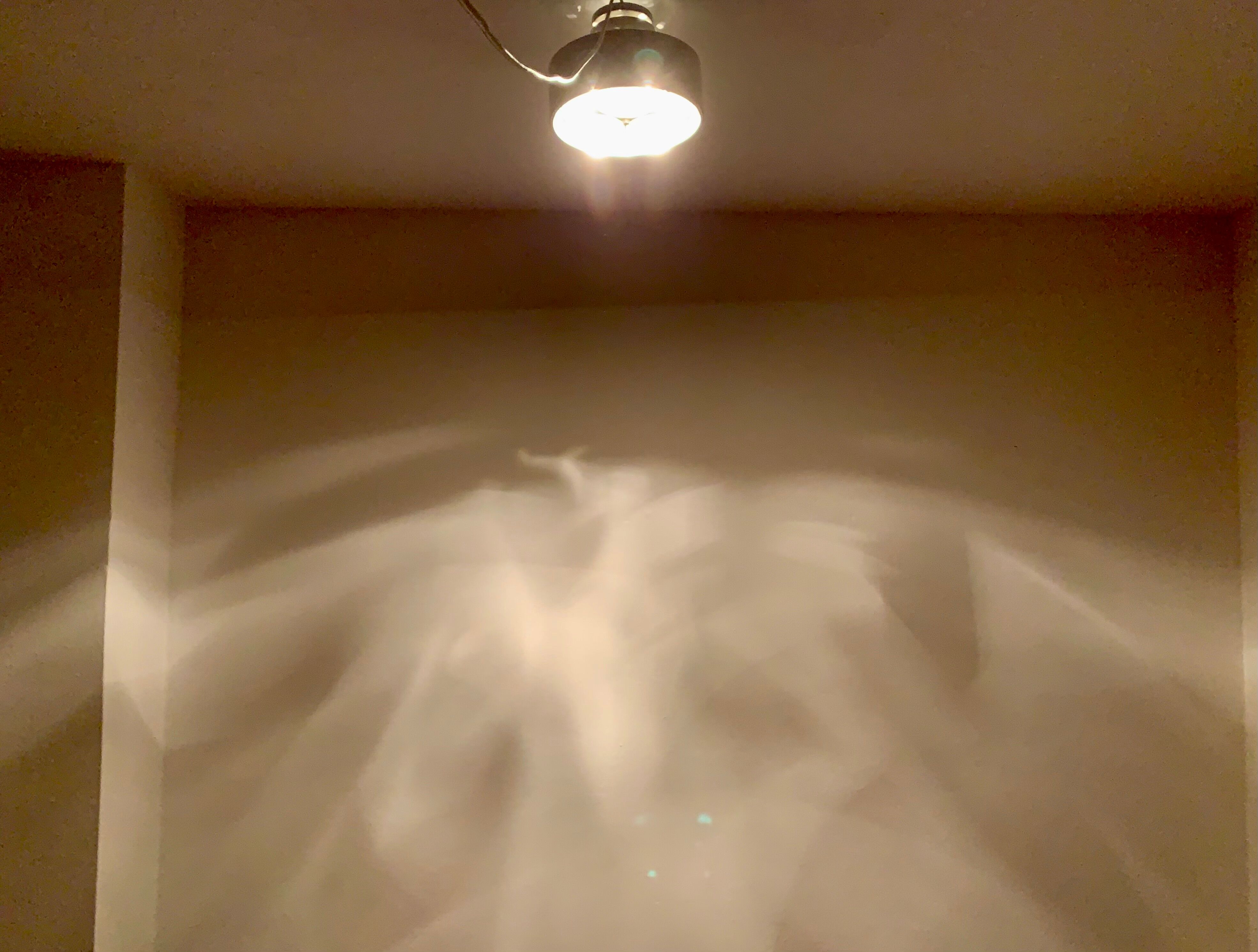 Danish Flush Lamp