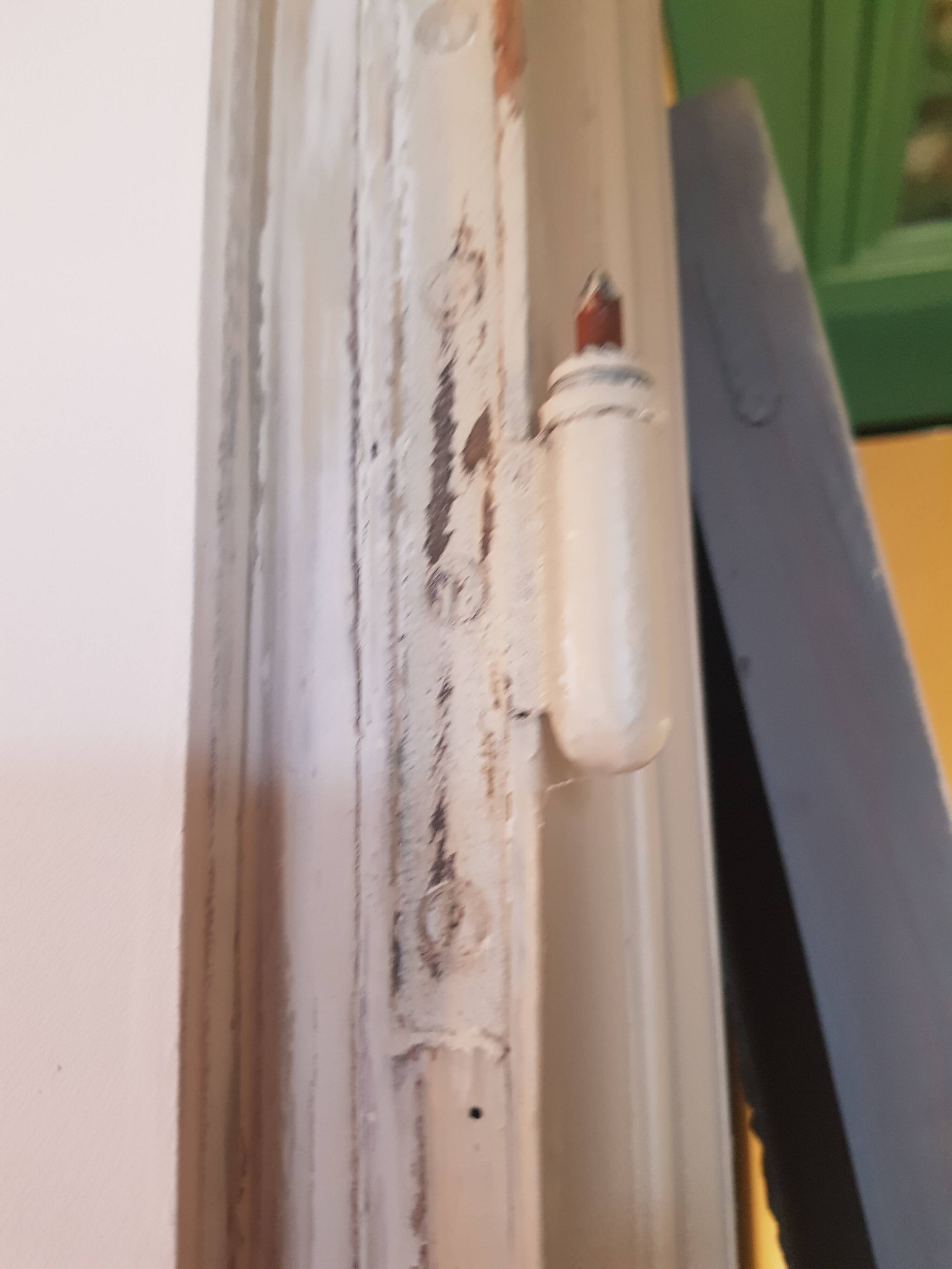 Large painted oak interior door with its hinges