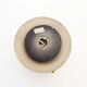 Brass sputnik wall light by Sa Boulanger
