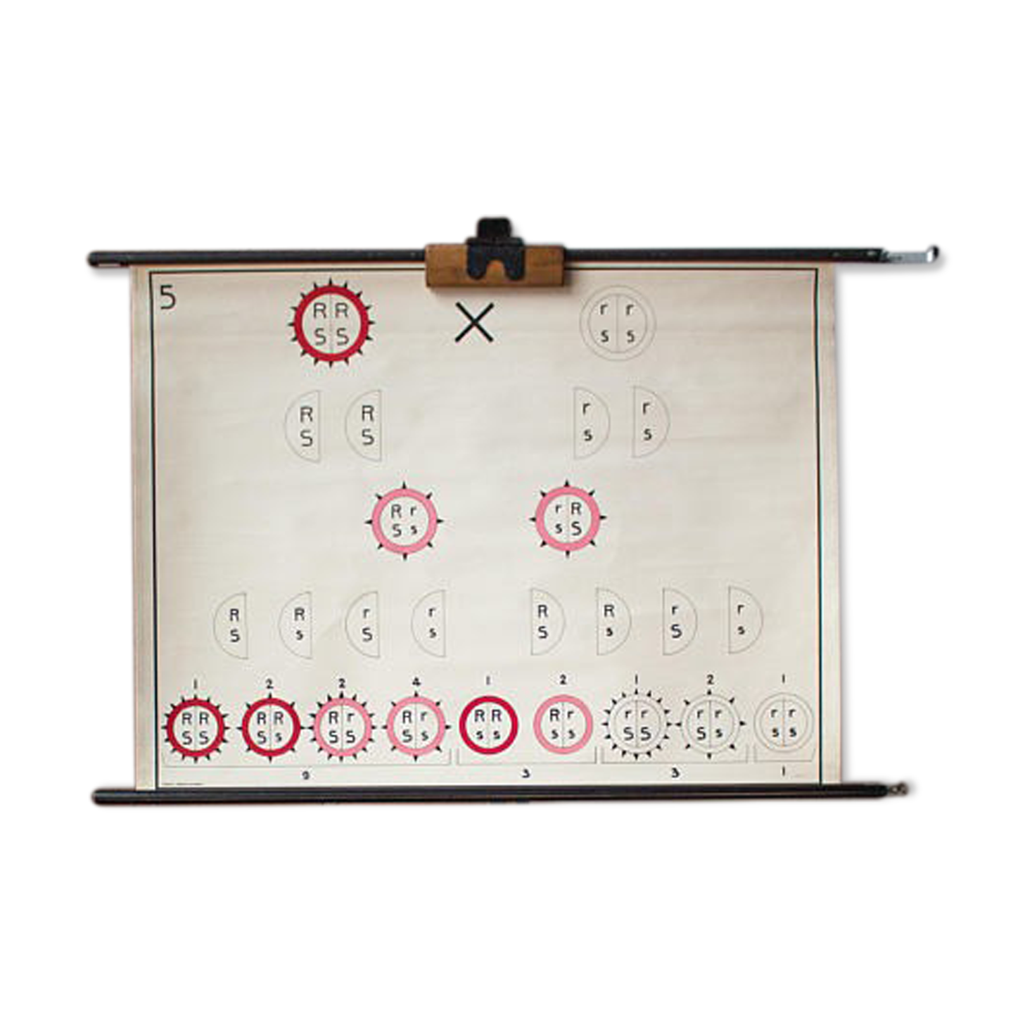 "Genetic" by Professor Heimans 1962 poster