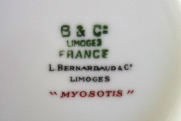 10 bols à fruits à dessert myosotis porcelaine Bernardaud Limoges