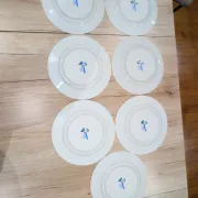 Lot 7 Large Flat Plates Porcelain ARA Pier Import