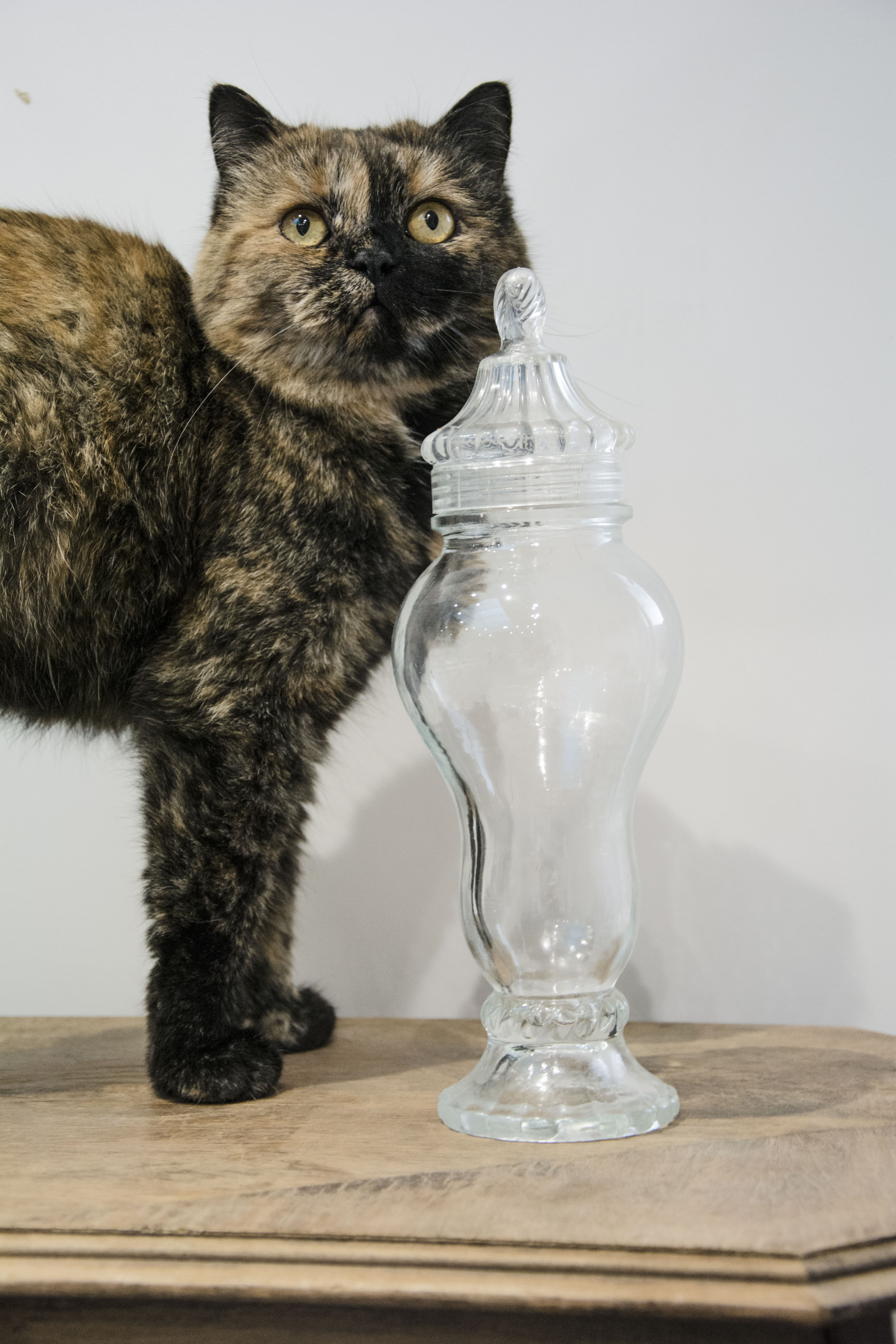 Kate glass candy