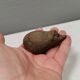 Small ceramic hedgehog by Poul Mathiesen (PM) 1970s Denmark.