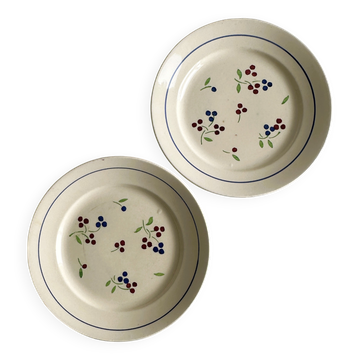 2 vintage flat plates with colorful cherry decoration