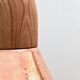 Scandinavian hanging lamp BC03