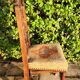 Antique carved walnut chair