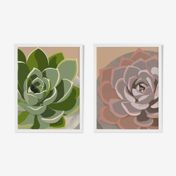 Duo d'illustrations "Succulent"  par Noums Atelier