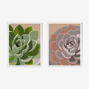 Duo of illustrations "Succulent" by Noums Atelier