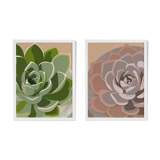 Duo of illustrations "Succulent" by Noums Atelier