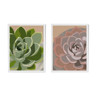 Duo of illustrations "Succulent" by Noums Atelier