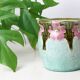 Mini slip planter