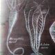 Rare educational grand tableau hand-drawn of extinct echinoderms, 19th century.