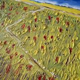 Thierry Deroyant (born in 1955) - Oil on canvas - "The countryside" - Signed